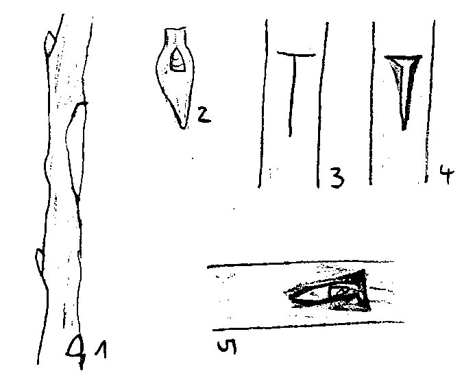 1q