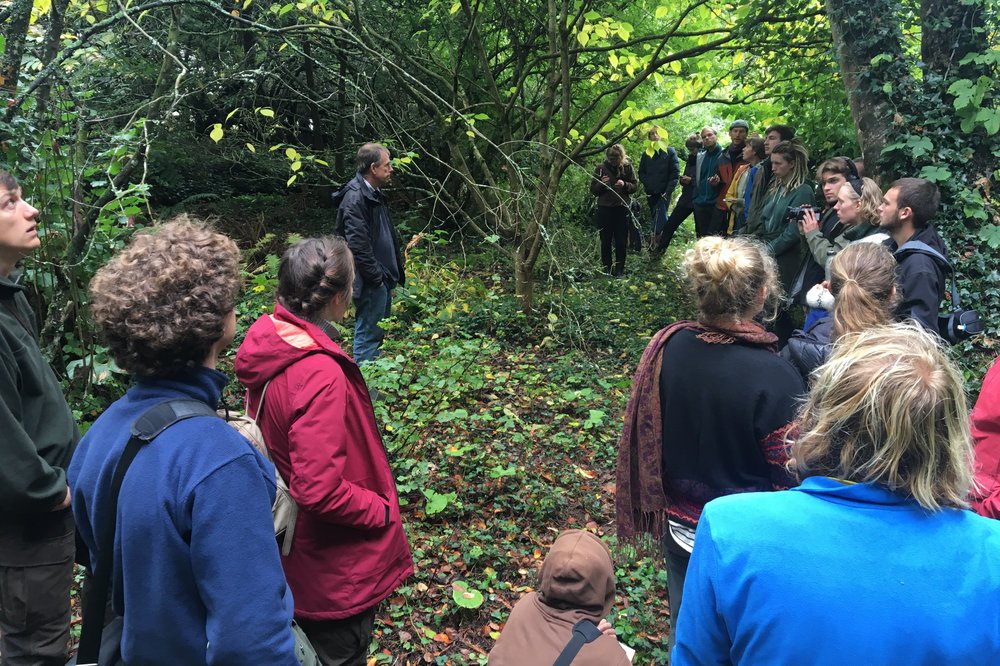 Bei Martin Crawford im Waldgarten - Felix Möller