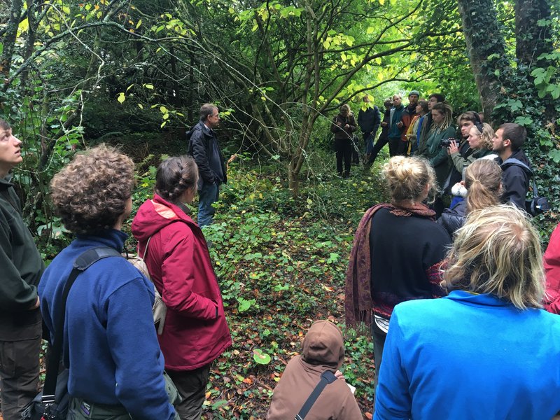 Bei Martin Crawford im Waldgarten - Felix Möller