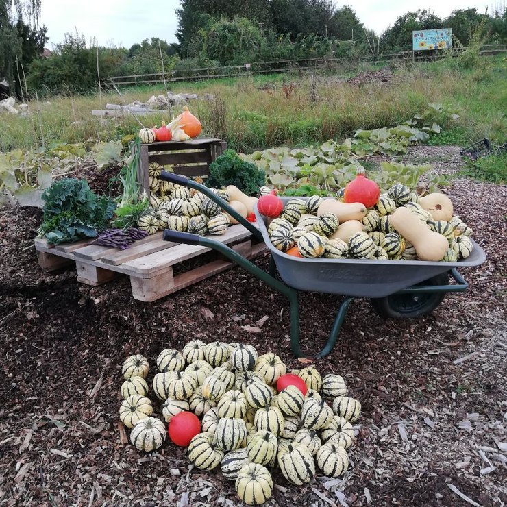 Bild JANUN Herbstferienprogramm