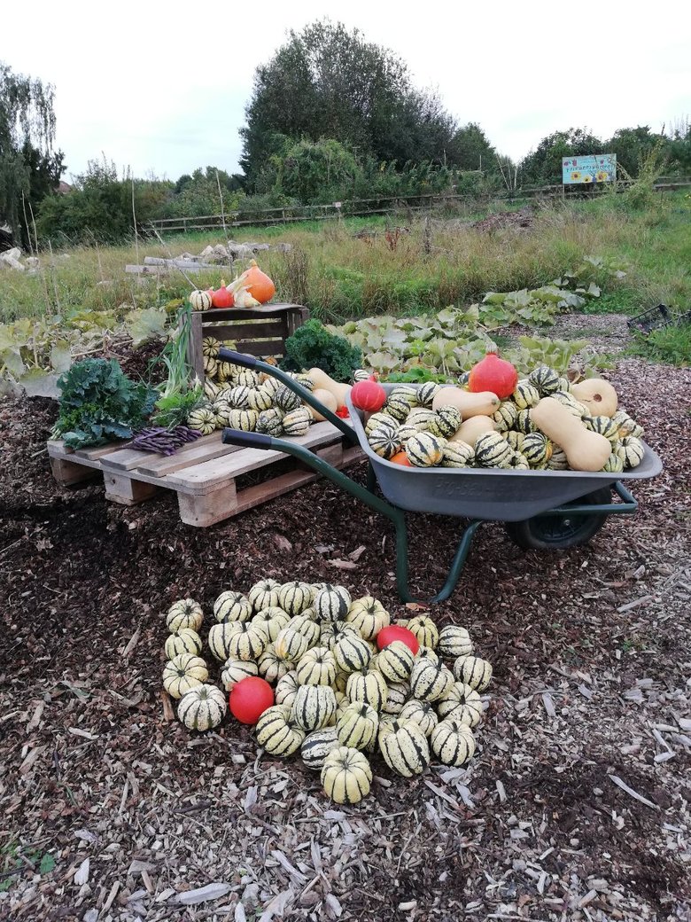 Bild JANUN Herbstferienprogramm