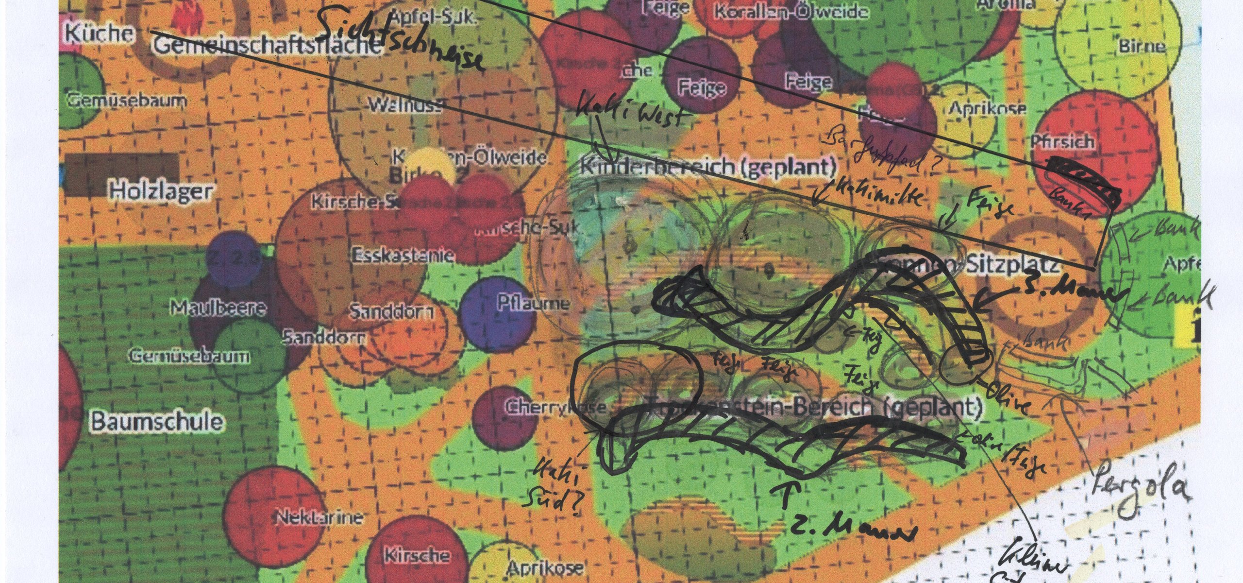 Bild Planungstreffen 6.6.25 Trockensteinmauer