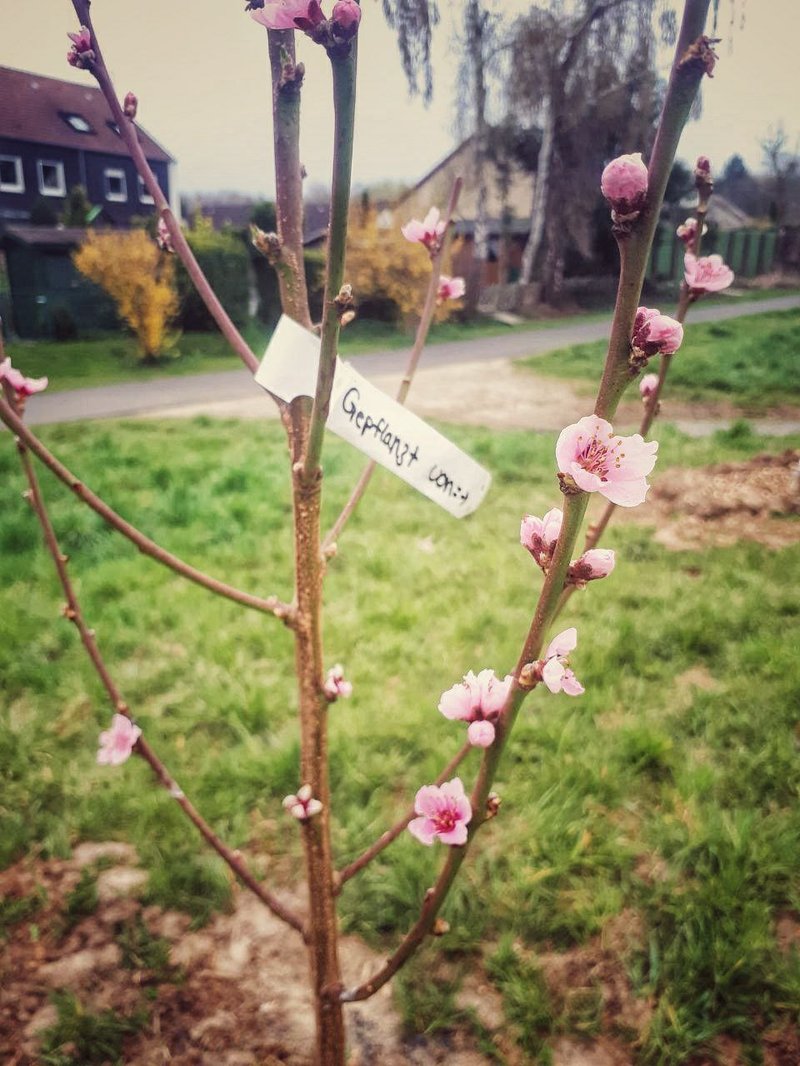 Foto Osterprogramm