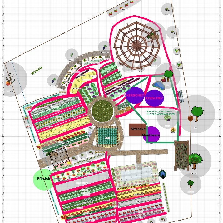 Gartenplan 2024
