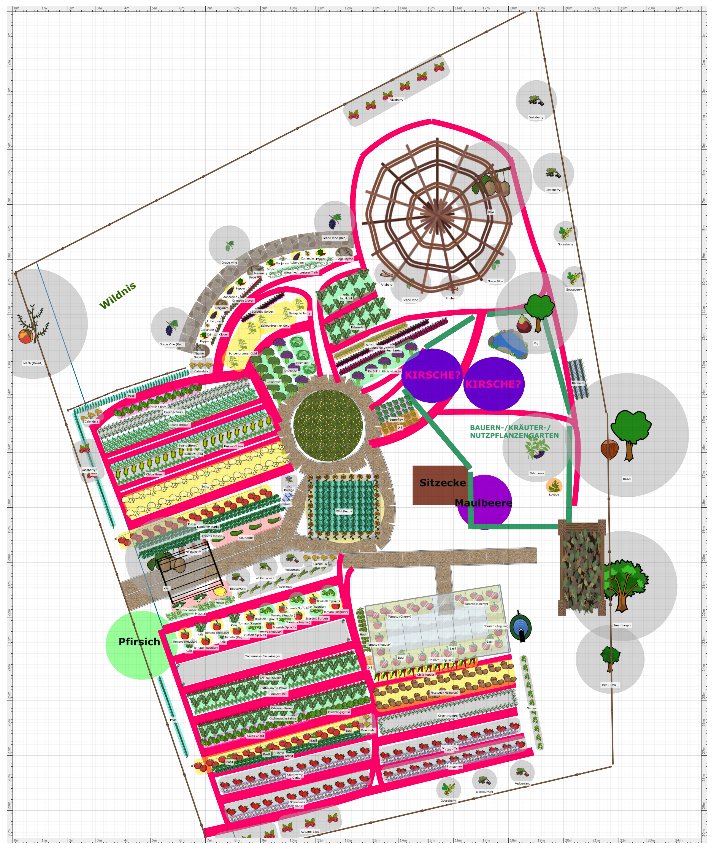 Gartenplan 2024