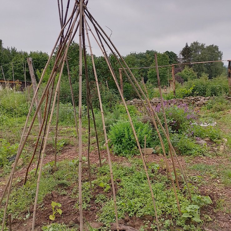 IMG_20240602_160152_HDR