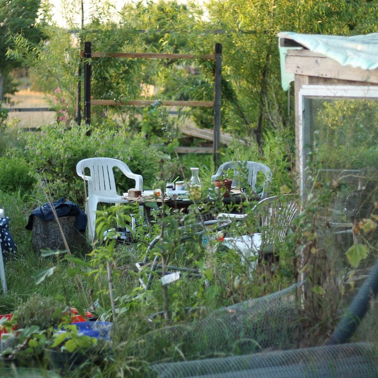 JANUN Garten Sommer 2020