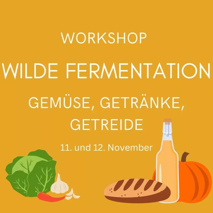 Wilde Fermentation