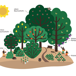 Infografik_Waldgartenschichten_2024_A3-1
