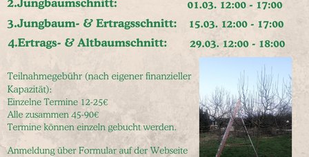 Obstbaumschnitt und Veredelungsworkshops 2025(1)