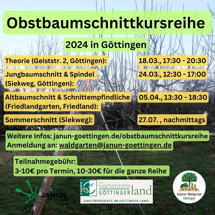 Obstbaumschnittkursreihe 2024