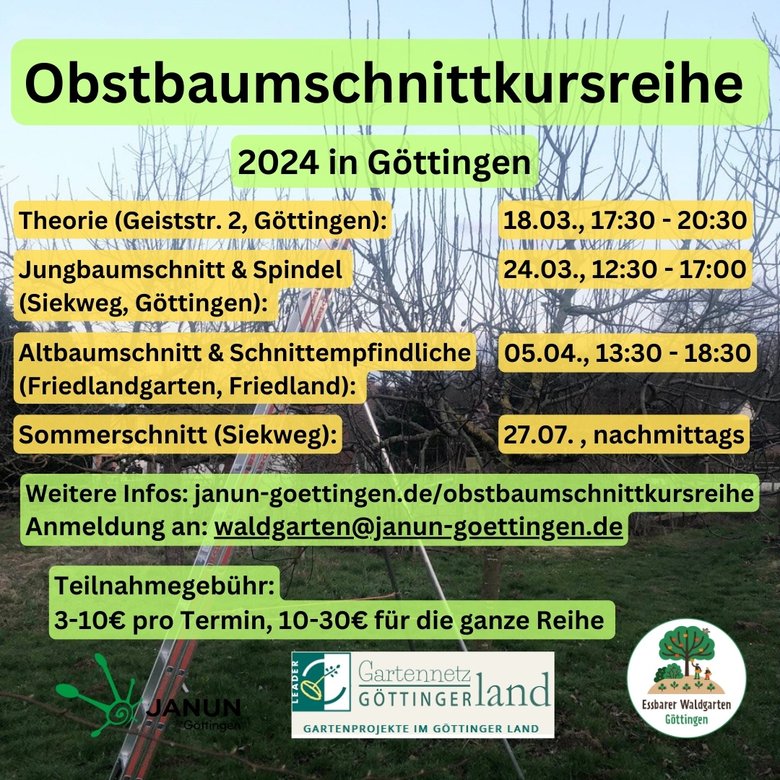 Obstbaumschnittkursreihe 2024