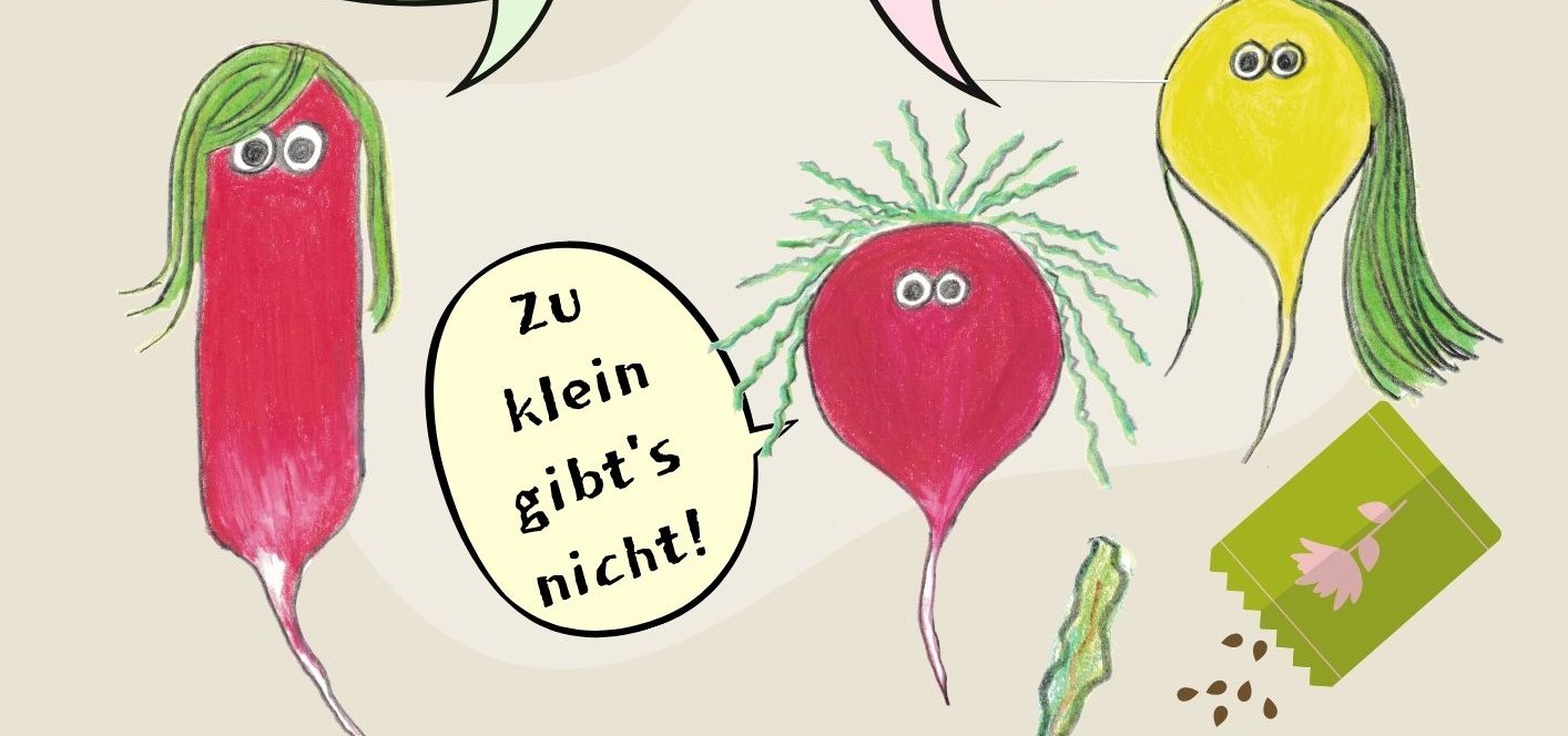 Radieschen-Vielfalt!!