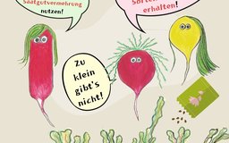 Radieschen-Vielfalt!!