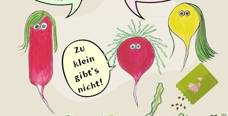 Radieschen-Vielfalt!!