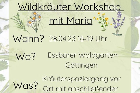 Wildkräuterführung Essbarer Waldgarten Goettingen (@essbarer_waldgarten_goettingen) Instagram