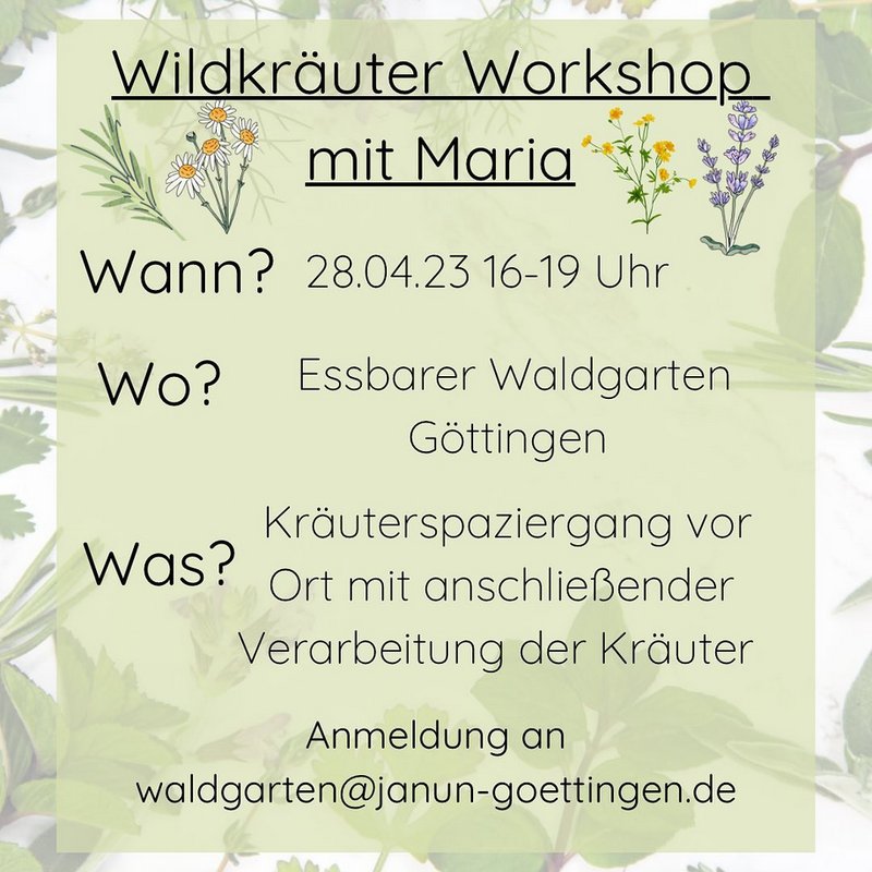 Wildkräuterführung Essbarer Waldgarten Goettingen (@essbarer_waldgarten_goettingen) Instagram