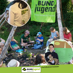 WEBSITE BILDOption 1