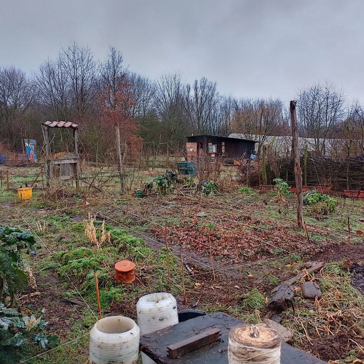 Garten 3.2.24