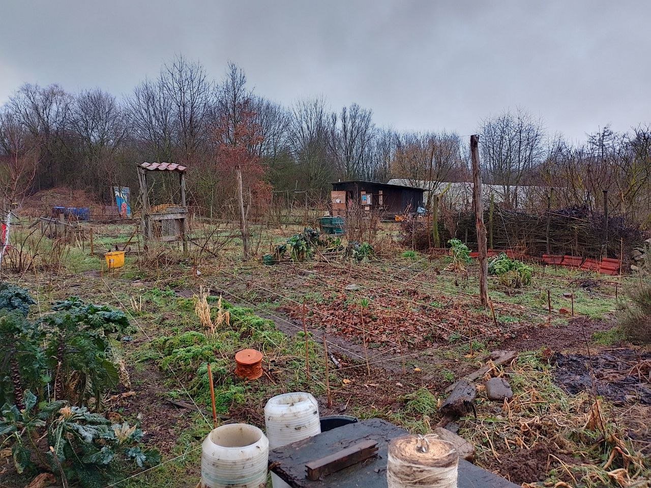 Garten 3.2.24