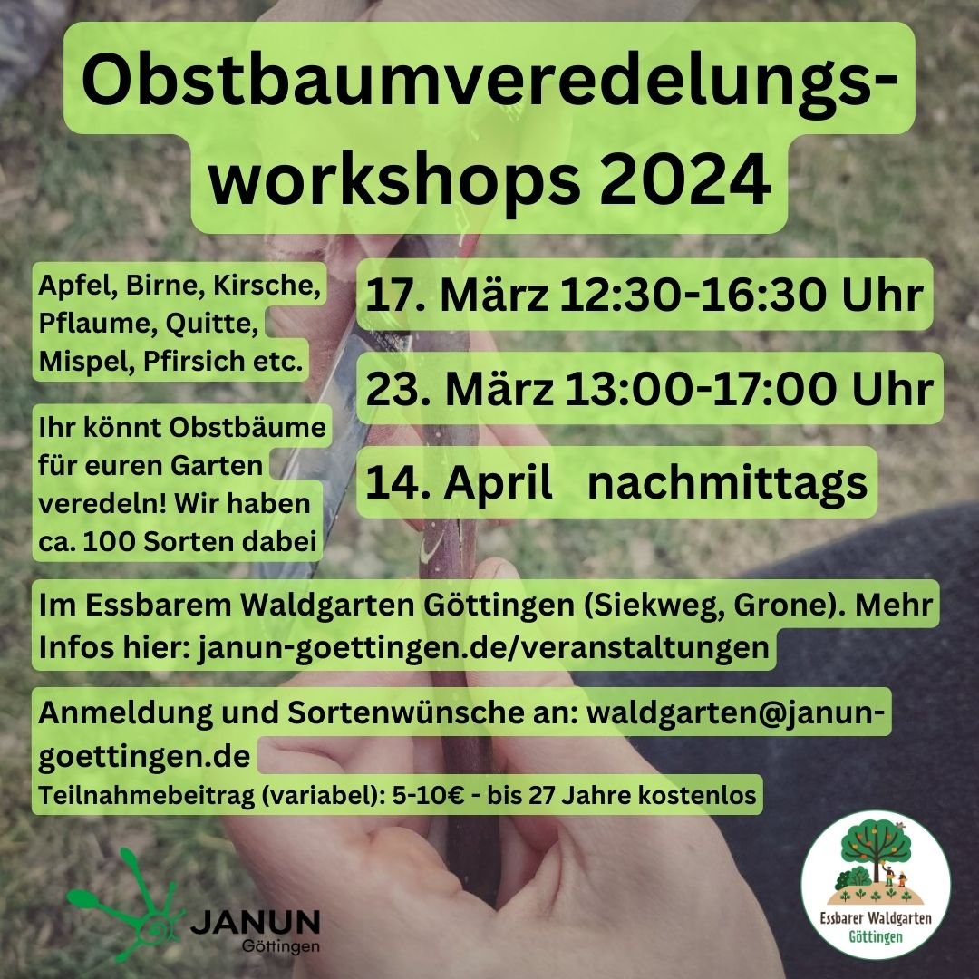 Verdelungsworkshops