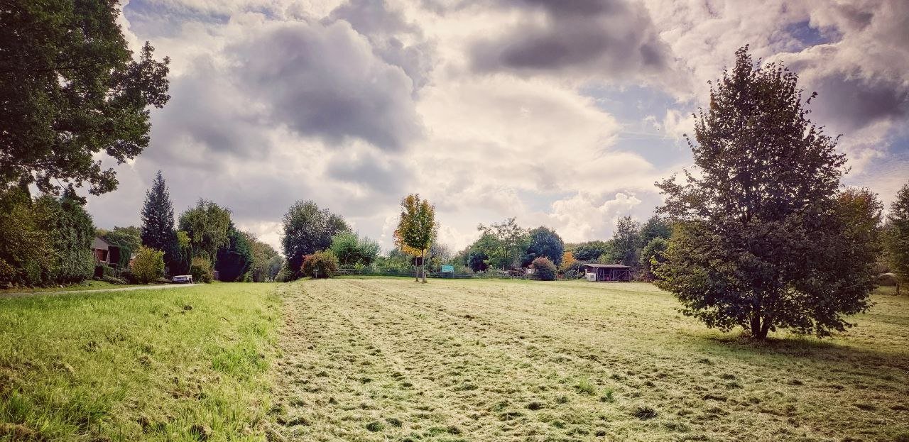 Waldgarten Wiese 2021