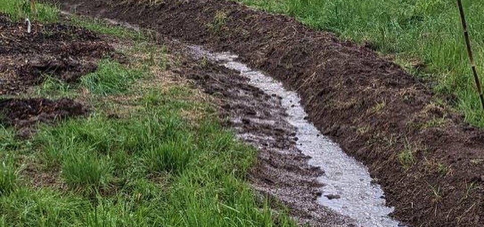Swale 2
