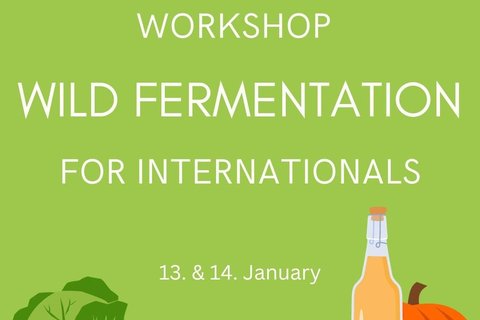 Wilde fermentation