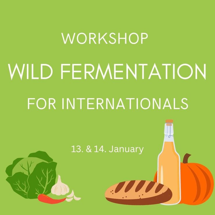 Wilde fermentation